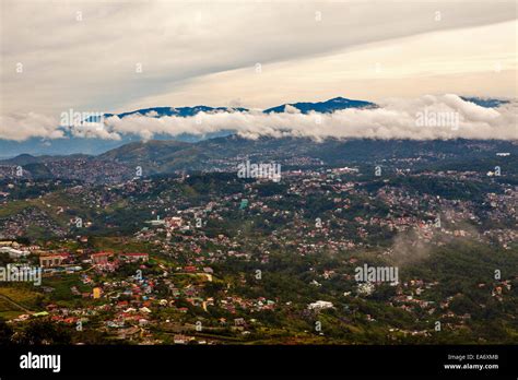 Puppies for Sale near Baguio, Cordillera, Philippines,.